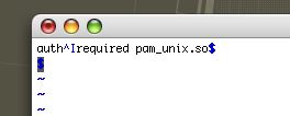 vim on PAM